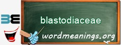 WordMeaning blackboard for blastodiaceae